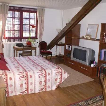 Maison Chaleureuse A Avec Jardin De 3500m² * Cuxac-Cabardès